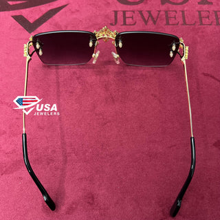 VVS Moissanite Diamond Unisex Iced out SunGlasses for Men/women